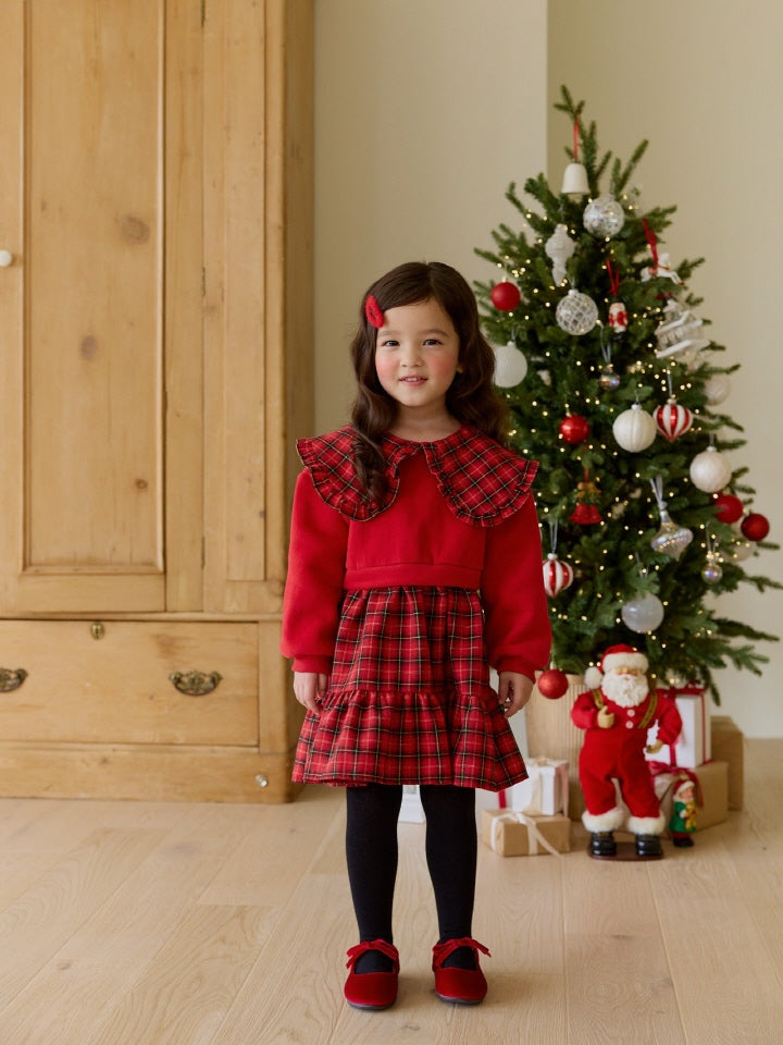 Red Gingham Dress