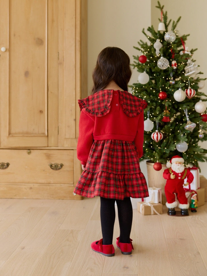 Red Gingham Dress