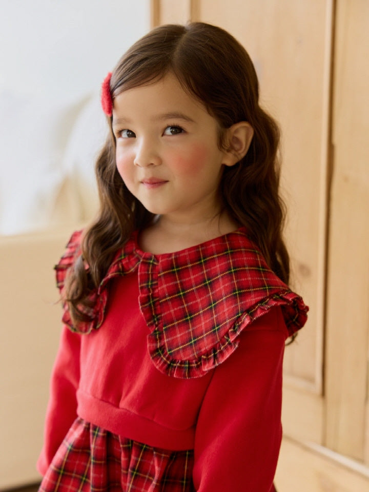 Red Gingham Dress