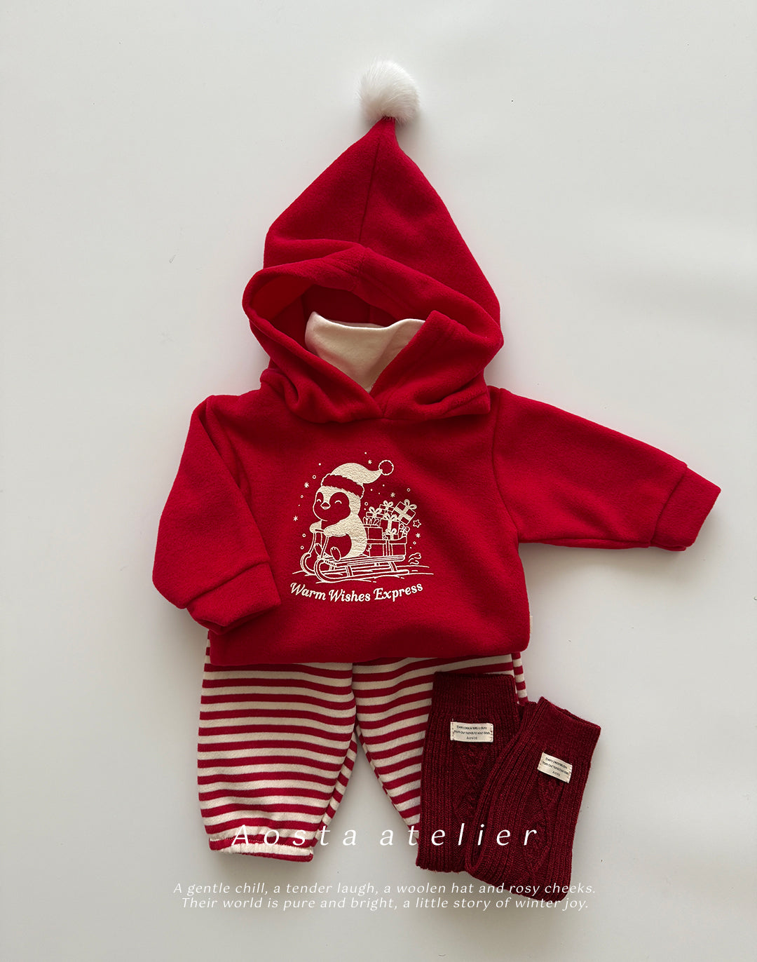 Winter Penguin Hoodie