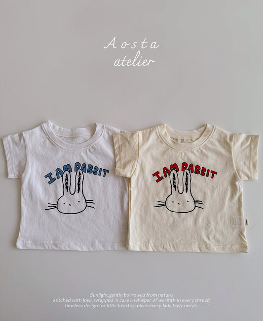 Rabbit T